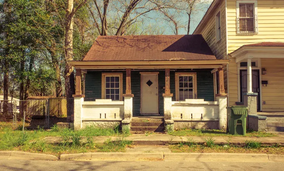 mold removal Auburn