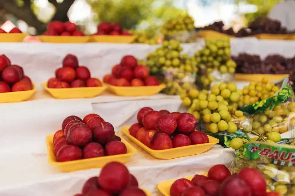 Exploring East Merrimack's Local Gems in East Merrimack