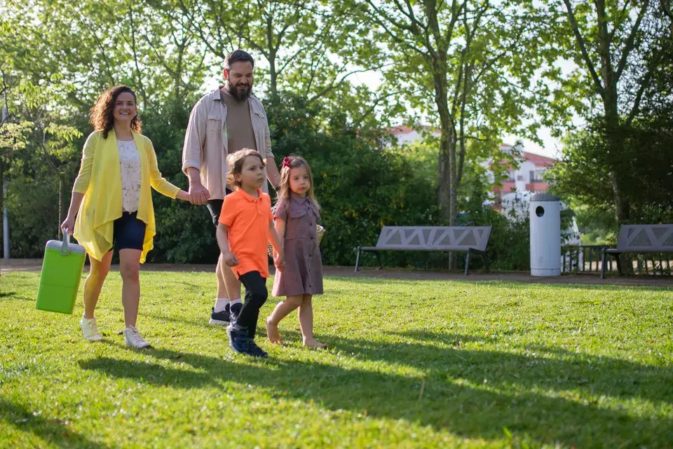 mold removal Goffstown