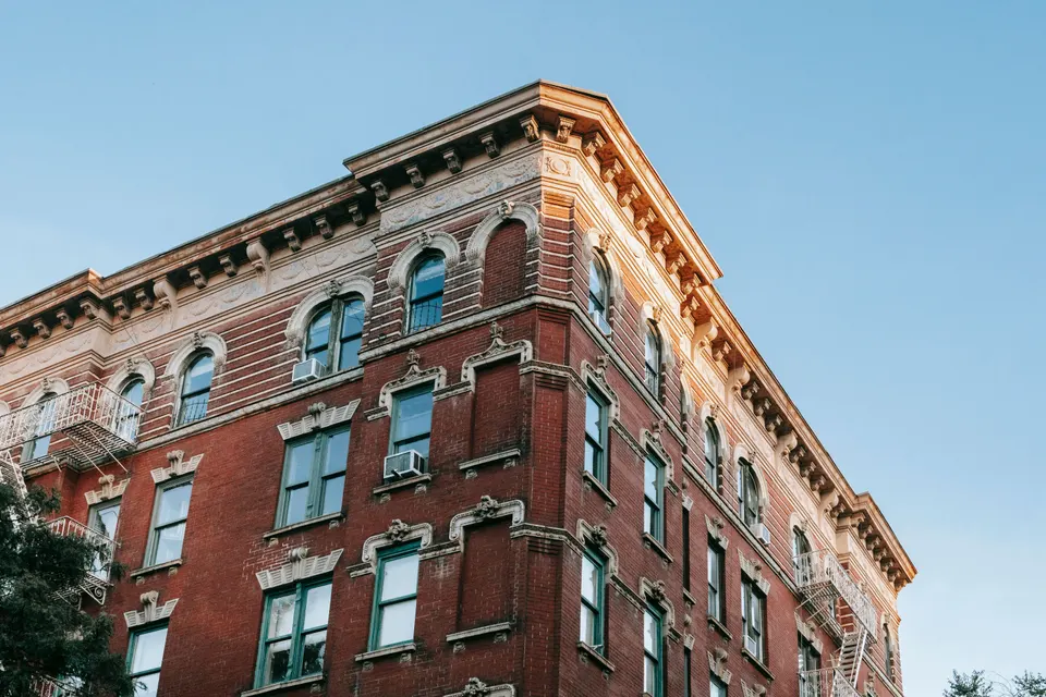 Londonderry — mold removal
